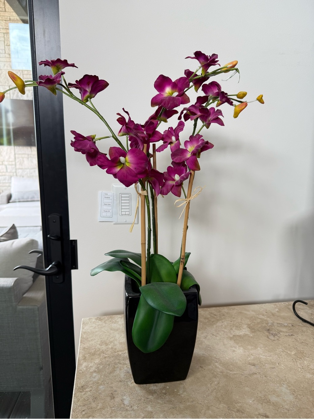 Pier 1 Plum Orchid Arrangement in Black Planter